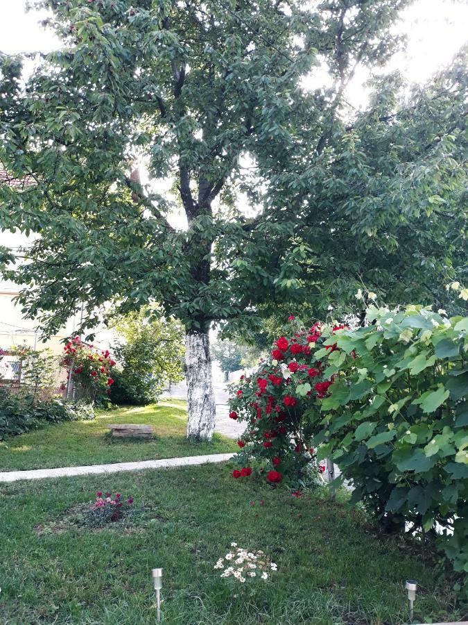 Gospic Riverside Apartment Buitenkant foto