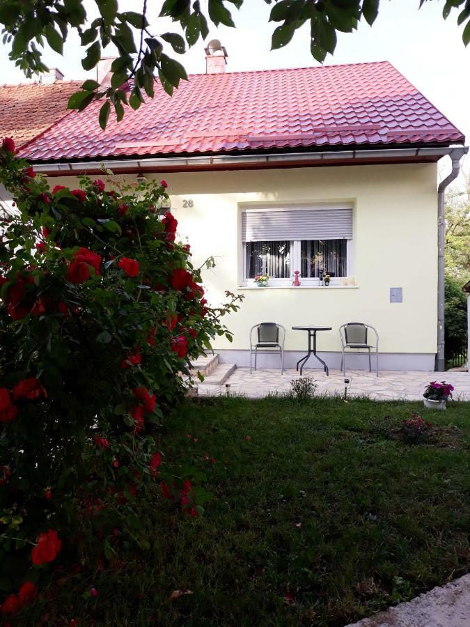 Gospic Riverside Apartment Buitenkant foto